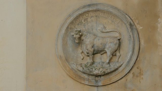 Detail of the bull fountain in Nard&ograve;, in the south of Italy.