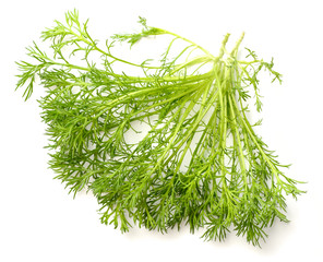 closeup of fresh chamomile leaves isolated on white