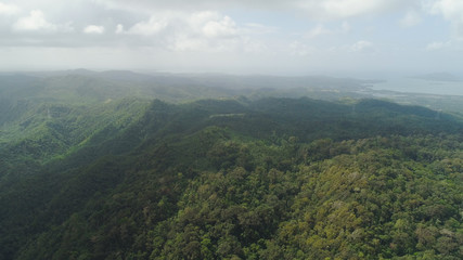 Fototapeta na wymiar Aerial view of mountains covered rainforest, trees. Luzon, Philippines. Slopes of mountains with evergreen vegetation. Mountainous tropical landscape.