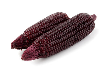 Fresh purple corns isolated on a white background