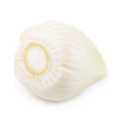 Fresh organic fennel and slice isolated on a white background