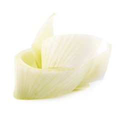 Fresh organic fennel and slice isolated on a white background