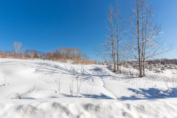 winter landscape in winter