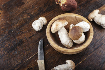 raw boletuses in a plate