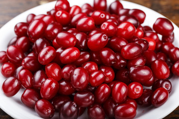 dogwood in a bowl on a table