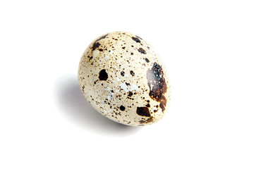 Quail spotted egg, isolated on a white background