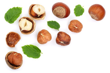 Hazelnuts with leaves with copy space for your text isolated on white background. Top view. Flat lay
