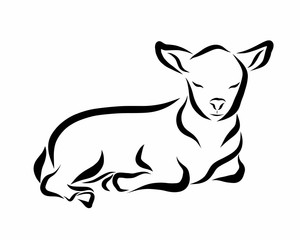 Sleeping lamb or calf, black lines