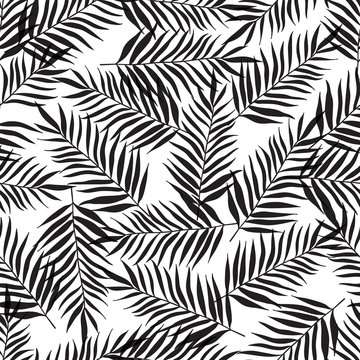 Seamless pattern with black palm leaves