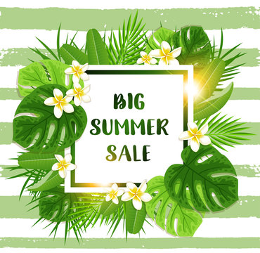Summer tropical background for seasonal sale