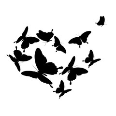 black butterflies heart, isolated on a white