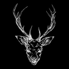 A young deer with horny horns on which peonies are planted. Illustration. Design a tattoo, a symbol of mystical magic for your use.