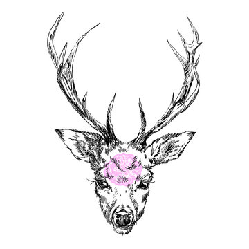 A young deer with horny horns on which peonies are planted. Illustration. Design a tattoo, a symbol of mystical magic for your use.