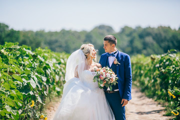 Wedding day. Happy bride and groom. Newlyweds and Love. Couple stay at  road field with sunflowers....