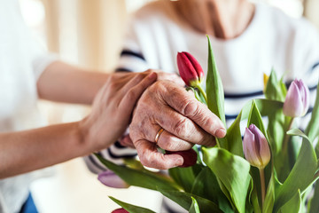 Hands of an old and young woman putting flowers in a vase.