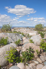 Stoney beach with green plants by a lake