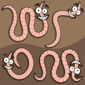 vector set of worm