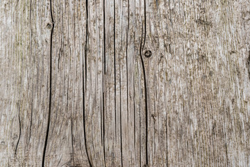 Wooden texture with scratches and cracks