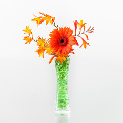 A beautiful orange gerbera flower in a decorative vase. Centerpiece on the table isolated on white background.