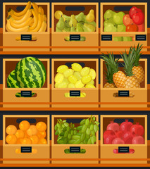 Showcase or counter at organic food market