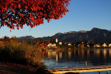 Hopfen am Hopfensee im Allgäu