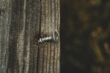 close up rough wooden and rusty nail background