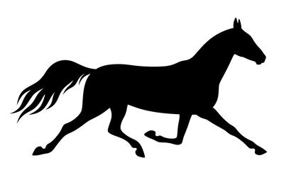 Running horse on a white background