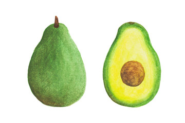 Sliced green watercolor avocado fruit isolated on white background. Drawing by hand and painted illustration.