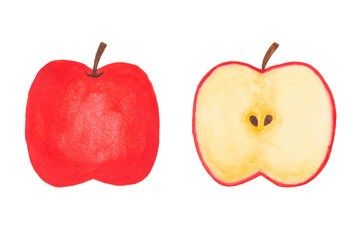 Obraz na płótnie Canvas Sliced red watercolor apple isolated on white background. Drawing by hand and painted illustration.