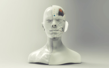 3d render. Head Human shattered