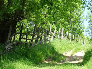 fence and road