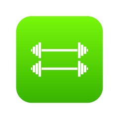 Two barbells icon digital green