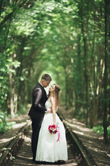 luxury stylish young bride and groom on the background spring sunny green forest