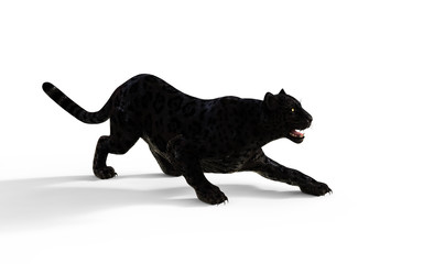 3d Illustration Black Panther Isolate on White Background with Clipping Path, Black Tiger