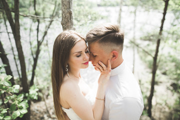 Fototapeta premium Kissing wedding couple staying over beautiful landscape