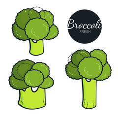 Fresh organic broccoli isolated on white background