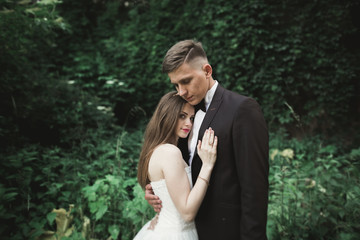 view from green leaves on a kissing wedding couple