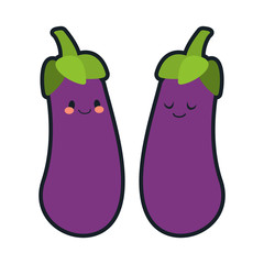 Fresh flat organic eggplant isolated on white background