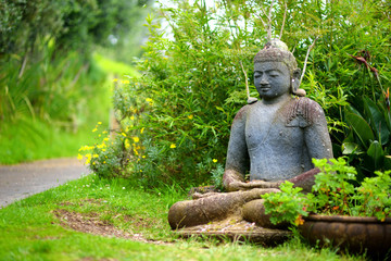 Buddha statue at the Alii Kula Lavender Farm on Maui, Hawaii