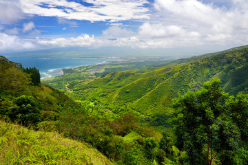 Fototapeta na wymiar Beautiful tranquil view of Maui landscape with white clouds over green fields. Maui, Hawaii
