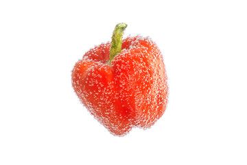 red bell pepper with bubbles of soda isolated on white