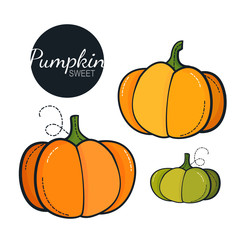 Fresh organic pumpkin isolated on white background