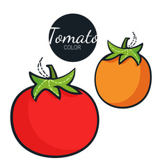 Fresh organic tomato isolated on white background