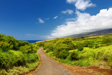 Fototapeta na wymiar Beautiful landscape of South Maui. The backside of Haleakala Crater on the island of Maui, Hawaii