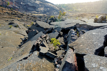 Stunning view of the Kilauea Iki volcano crater surface with crumbling lava rock in Volcanoes National Park in Big Island of Hawaii © MNStudio