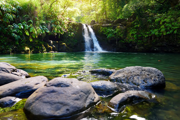 Naklejka na ściany i meble Tropical waterfall Lower Waikamoi Falls and a small crystal clear pond, inside of a dense tropical rainforest, off the Road to Hana Highway, Maui, Hawaii