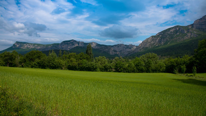 Fototapeta premium Frühling im Drome