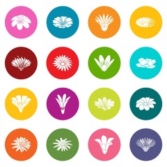 Detailed flower icons set colorful circles vector