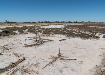 Landscape around the Wave Rock with salt lakes under clear sky, outback of Western Australia