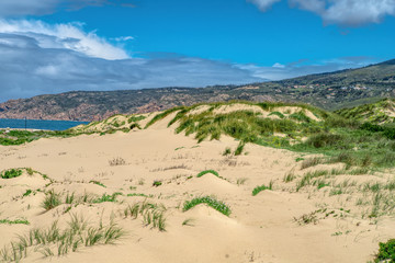 Fototapeta na wymiar Beautiful white sand dune and grasses under puffy cloud sky